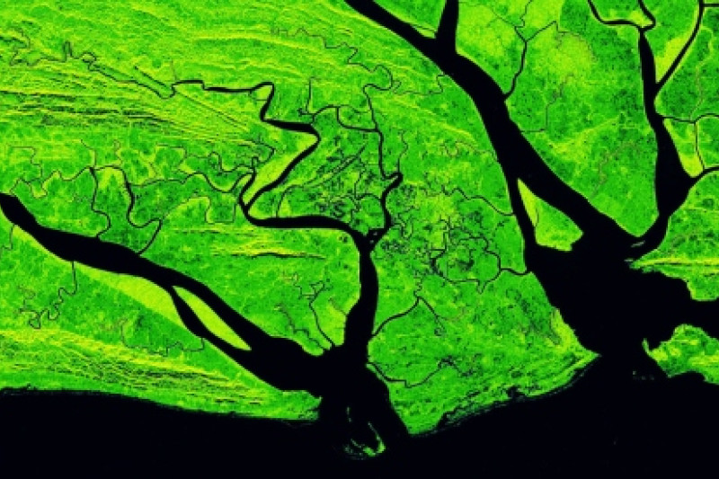 Grüner Hintergrund mit schwarzen Adern