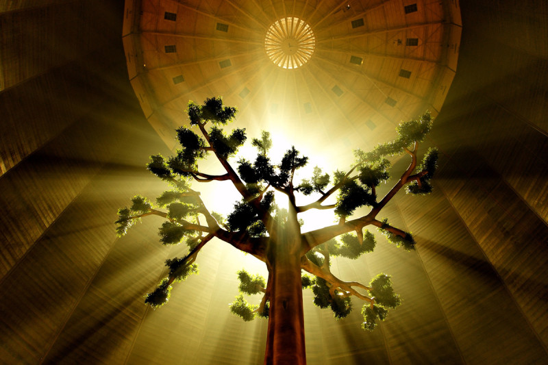 Foto eines von oben beleuchtetem Baum im Inneren des Gasometers.